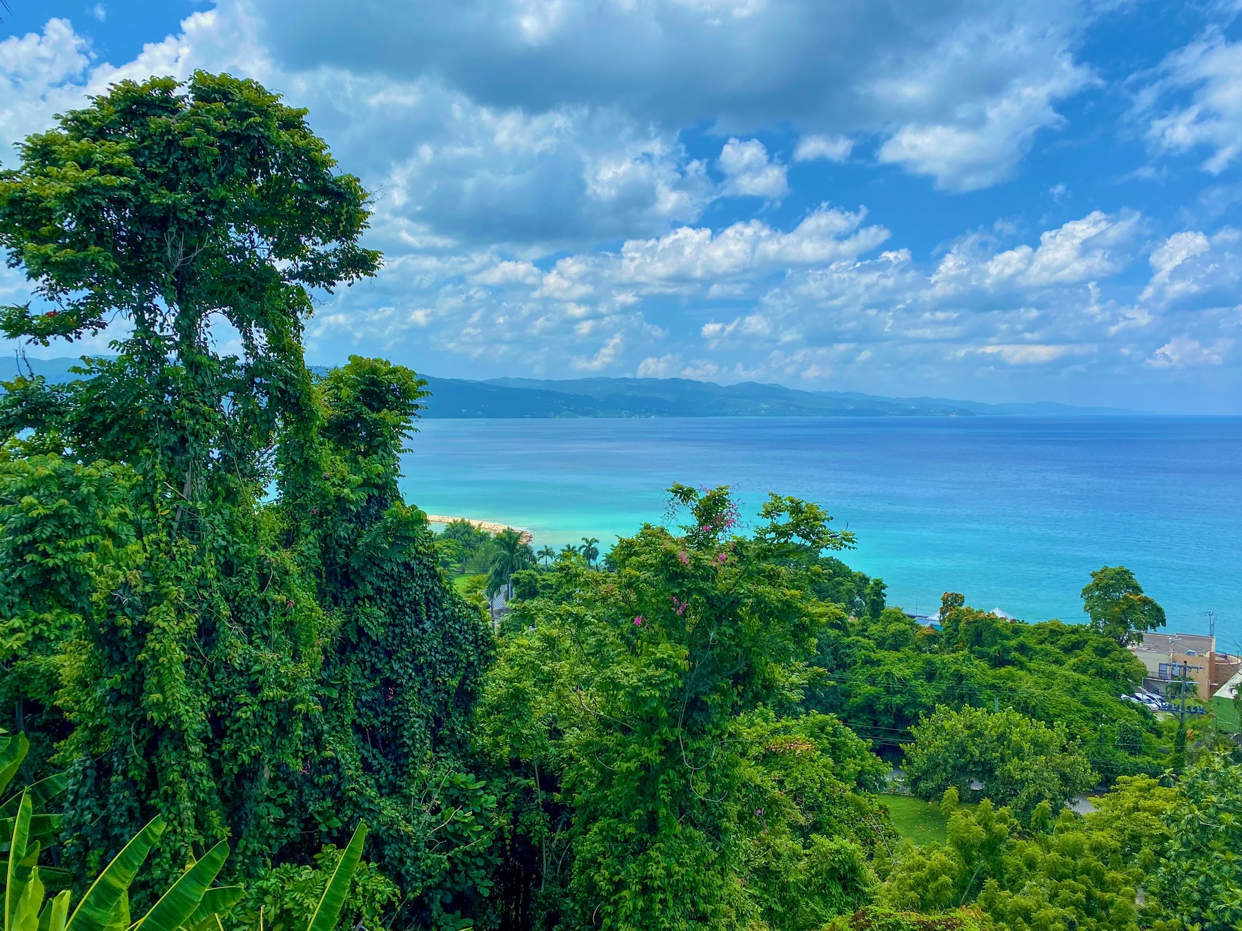 Beautiful tropical ocean views in Ocho Rios